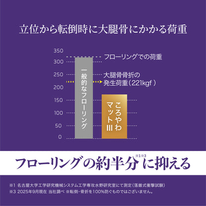 【新製品】ころやわマットIII  (100cm×150cm) 【送料無料】【転倒予防学会推奨品選定】